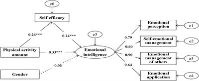 The Relationship Between Physical Activity and Emotional Intelligence in College Students: The Mediating Role of Self-Efficacy